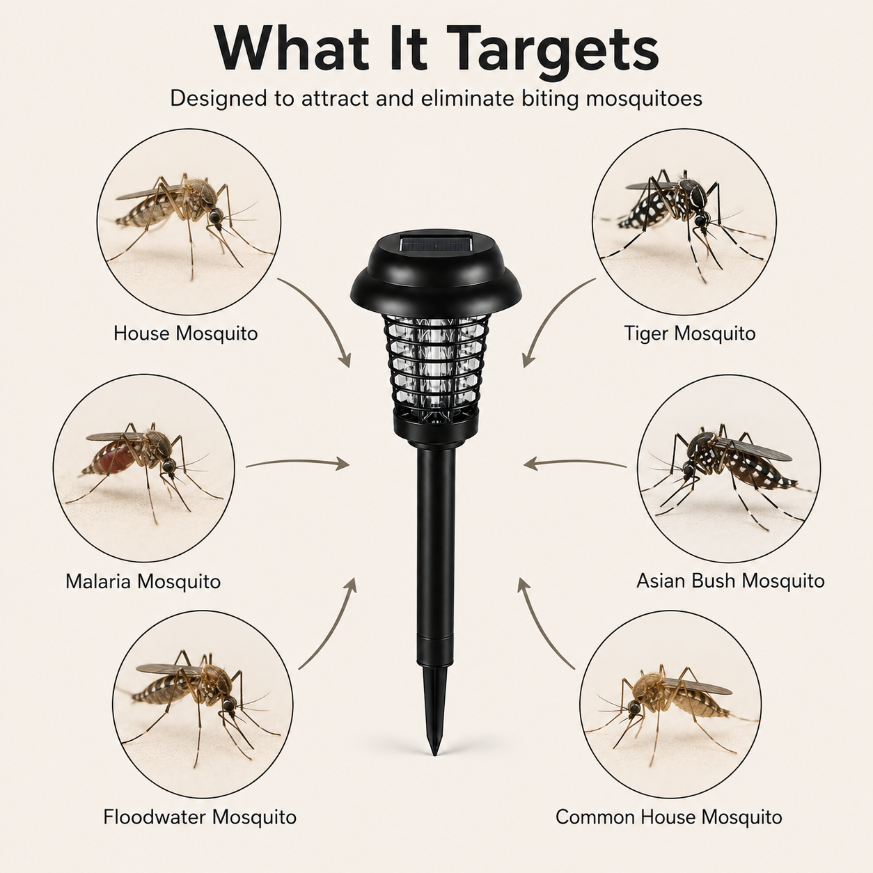 Solar Powered Anti Mosquito Lamp