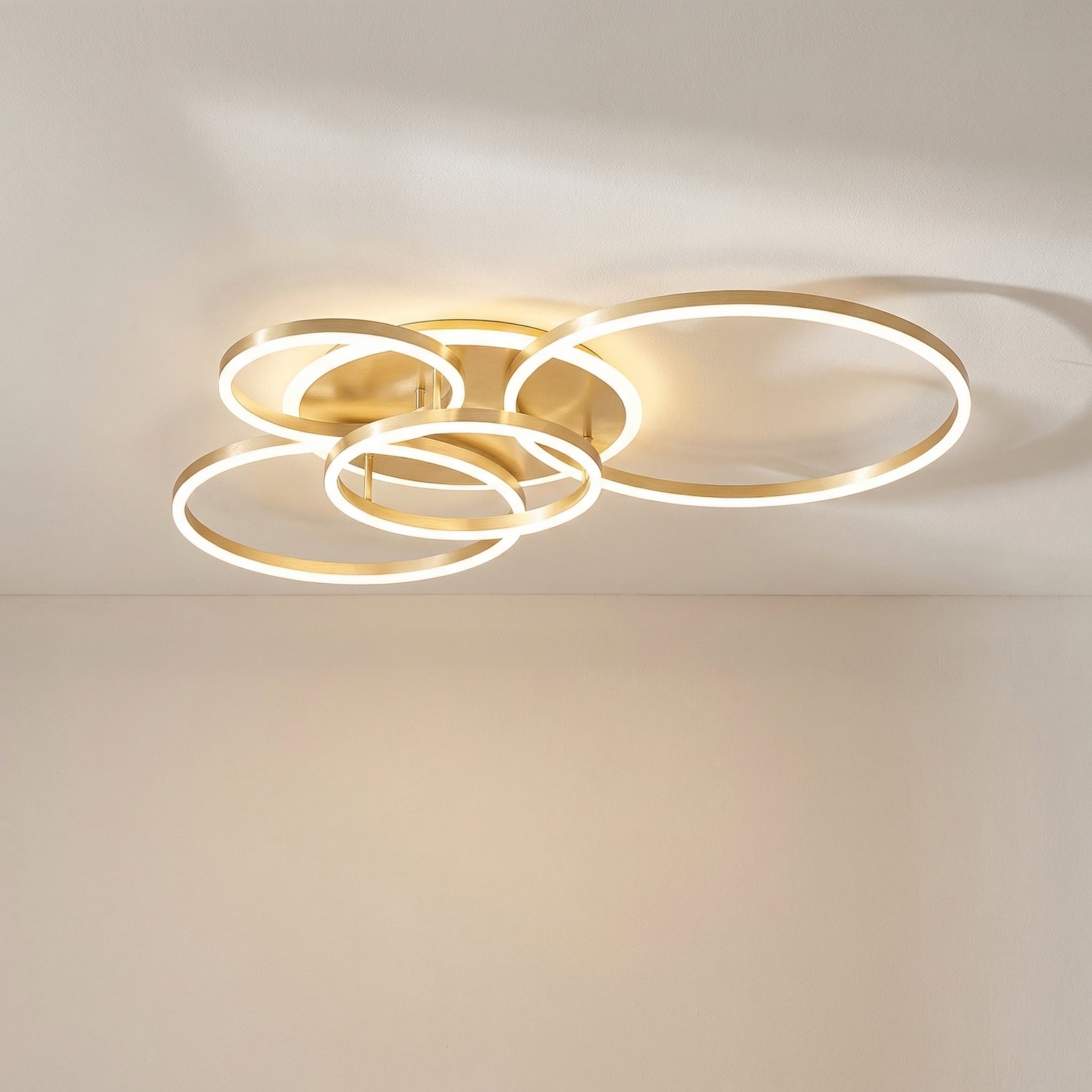 Randale's Ceiling Light