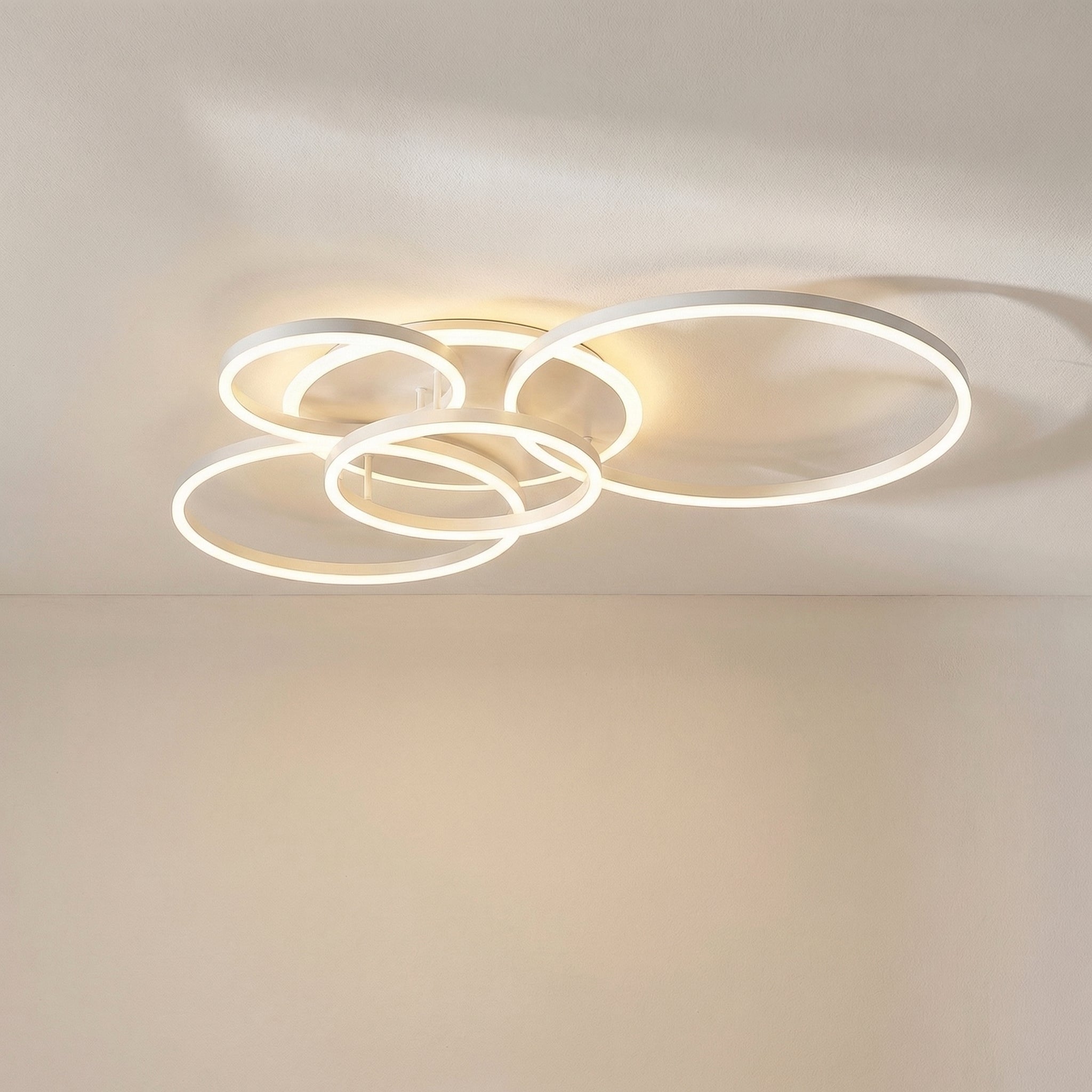 Randale's Ceiling Light