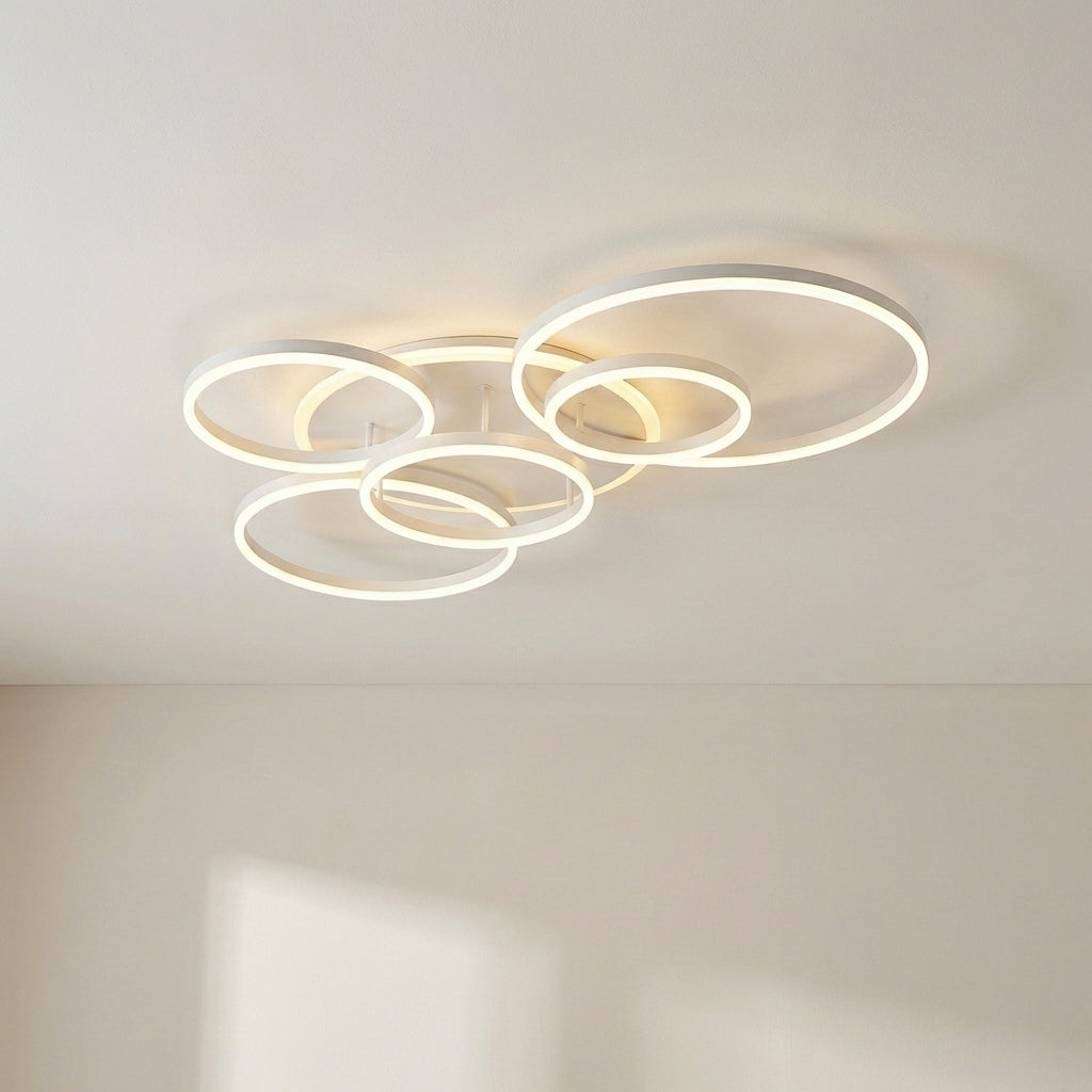 Randale's Ceiling Light