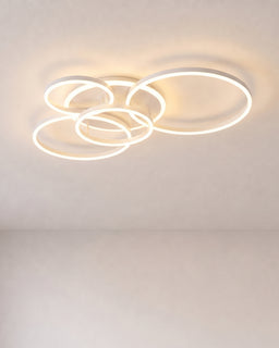 Randale's White Ceiling Light With Remote Dimmer